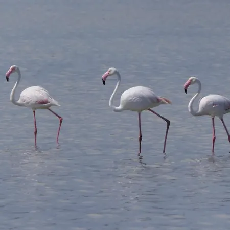 Casa Greta San Pietro in Bevagna