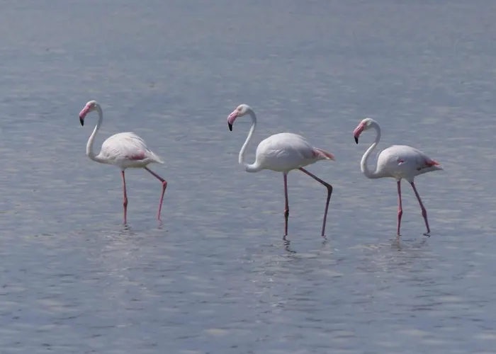 Casa Greta San Pietro in Bevagna